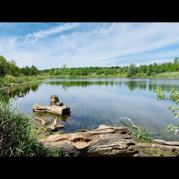 Meet your Posher, Floriane - Picture 1 of 1